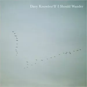 Davy.Knowles-If.I.Should.Wander-2023-MP3.320.KBPS-P2P