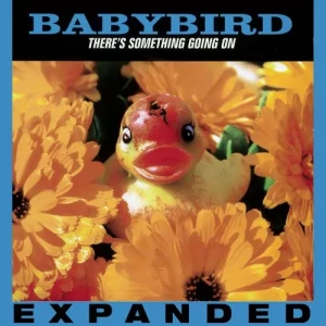 Babybird-Theres.Something.Going.On-Expanded-2023-320.KBPS-P2P