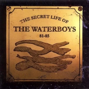 The.Waterboys-The.Secret.Life.of.The.Waterboys.81-85-1994-320.KBPS-P2P