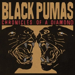 Black.Pumas-Chronicles.of.a.Diamond-2023-MP3.320.KBPS-P2P