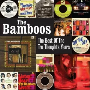 The.Bamboos-The.Best.of.the.Tru.Thoughts.Years-2015-320.KBPS-P2P