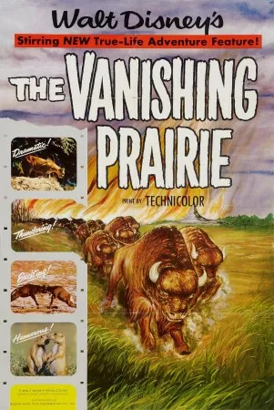 The Vanishing Prairie