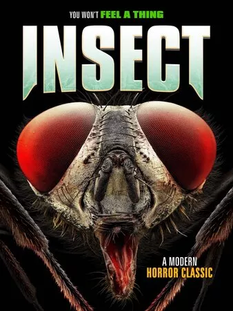 Insect