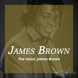 James.Brown-The.Voice.James.Brown-2021-MP3.320.KBPS-P2P