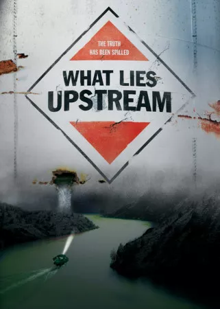 What.Lies.Upstream.2017.1080p.AMZN.WEB-DL.DDP5.1.H.264-NTG