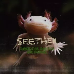 Seether-Curiosities-Rarities.And.Pariahs-2021-320.KBPS-P2P