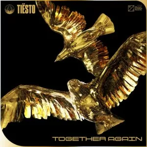 Tiesto-Together.Again-2021-MP3.320.KBPS-P2P