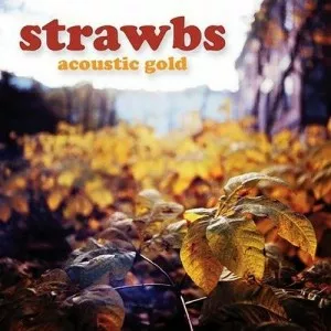 Strawbs-Acoustic.Gold-2011-MP3.320.KBPS-P2P