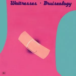 The.Waitresses-Bruiseology-Expanded-1983.2022-320.KBPS-P2P