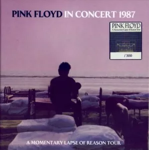 Pink.Floyd-In.Concert.1987-8CD-2021-MP3.320.KBPS-P2P