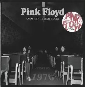 Pink.Floyd-Another.12-Bar.Blues-12CD.Box.Set-2021-320.KBPS-P2P