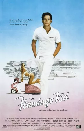 The Flamingo Kid