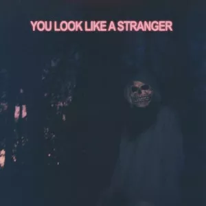 Mat.Kerekes-You.Look.Like.a.Stranger-2023-MP3.320.KBPS-P2P